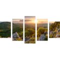 5-PIECE CANVAS PRINT NATURE BATHED IN THE SUN - PICTURES OF NATURE AND LANDSCAPE - PICTURES