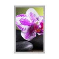 POSTER ORCHID AND BLACK STONES - FENG SHUI - POSTERS
