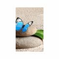 POSTER BLUE BUTTERFLY ON A ZEN STONE - FENG SHUI - POSTERS