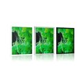 POSTER GREEN FLOWING COLORS - ABSTRACT AND PATTERNED - POSTERS