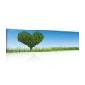 CANVAS PRINT HEART-SHAPED TREE - PICTURES LOVE{% if product.category.pathNames[0] != product.category.name %} - PICTURES{% endif %}