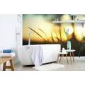 SELF ADHESIVE WALL MURAL SUNSET IN THE GRASS - SELF-ADHESIVE WALLPAPERS - WALLPAPERS