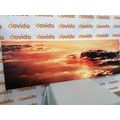 CANVAS PRINT ENCHANTING CLOUDS - PICTURES OF NATURE AND LANDSCAPE - PICTURES