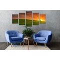 TABLEAU EN 5 PARTIES – ARBRE SUR LA PRAIRIE - TABLEAUX DE LA NATURE ET DES PAYSAGES - TABLEAUX