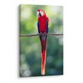 OBRAZ JASNĚ ČERVENÝ PAPOUŠEK NA VĚTVI - OBRAZY PTÁCI - OBRAZY