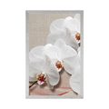 POSTER WHITE ORCHID ON A CANVAS - FLOWERS - POSTERS