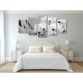 5-PIECE CANVAS PRINT ORCHID ON A CANVAS IN BLACK AND WHITE - BLACK AND WHITE PICTURES - PICTURES