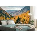 WALL MURAL VIEW OF MAJESTIC MOUNTAINS - WALLPAPERS NATURE - WALLPAPERS