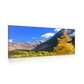 CANVAS PRINT BEAUTIFUL NATURE IN KAMCHATKA IN RUSSIA - PICTURES OF NATURE AND LANDSCAPE - PICTURES