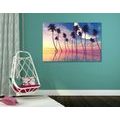 CANVAS PRINT SUNSET OVER TROPICAL PALM TREES - PICTURES OF NATURE AND LANDSCAPE - PICTURES