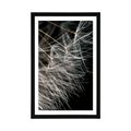 POSTER WITH MOUNT BEAUTY OF THE DANDELION - FLOWERS - POSTERS