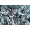 SELF ADHESIVE WALLPAPER DANDELION WITH ABSTRACT ELEMENTS - SELF-ADHESIVE WALLPAPERS - WALLPAPERS