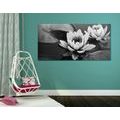 CANVAS PRINT LOTUS FLOWER IN THE LAKE IN BLACK AND WHITE - BLACK AND WHITE PICTURES - PICTURES