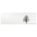 OBRAZ TICHÝ STROM ŽIVOTA NA PLÁNI - TREE OF LIFE - PICTURES