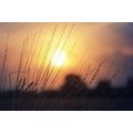 CANVAS PRINT SUNRISE OVER A MEADOW - PICTURES OF NATURE AND LANDSCAPE - PICTURES