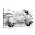 CANVAS PRINT LUXURY ROSE WITH AN ABSTRACTION IN BLACK AND WHITE - BLACK AND WHITE PICTURES - PICTURES