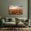 TABLEAU SUR TOILE – BLÉ DORÉ AU COUCHER DU SOLEIL - TABLEAUX DE CHAMPS ET PRAIRIES - TABLEAUX