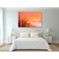 CANVAS PRINT COLORFUL SKY - PICTURES OF NATURE AND LANDSCAPE - PICTURES