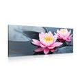 CANVAS PRINT LOTUS FLOWER IN A LAKE - PICTURES FLOWERS - PICTURES