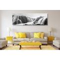 CANVAS PRINT SUBLIME WATERFALLS IN BLACK AND WHITE - BLACK AND WHITE PICTURES - PICTURES