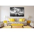 CANVAS PRINT BLACK AND WHITE TREE COVERED IN CLOUDS - BLACK AND WHITE PICTURES{% if product.category.pathNames[0] != product.category.name %} - PICTURES{% endif %}