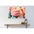 CANVAS PRINT COLORFUL MACARONS - PICTURES OF FOOD AND DRINKS - PICTURES