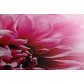 TABLEAU SUR TOILE – FLEUR ROSE - TABLEAUX DE FLEURS - TABLEAUX