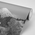 PAPIER PEINT AUTOCOLLANT DU MONT FUJI EN NOIR ET BLANC - PAPIERS PEINTS AUTOCOLLANTS - PAPIER PEINT