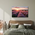 TABLEAU SUR TOILE – SOLEIL AU-DESSUS D’UN CHAMP DE LAVANDE - TABLEAUX DE CHAMPS ET PRAIRIES - TABLEAUX