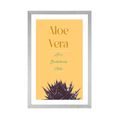 POSTER MIT PASSEPARTOUT UND STILVOLLER AUFSCHRIFT ALOE VERA - MOTIVE AUS UNSERER WERKSTATT - POSTER