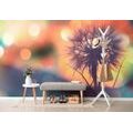 SELF ADHESIVE WALLPAPER BRIGHT DANDELION - SELF-ADHESIVE WALLPAPERS - WALLPAPERS