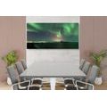 CANVAS PRINT UNUSUAL GREEN GLOW - PICTURES OF NATURE AND LANDSCAPE - PICTURES