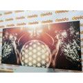 CANVAS PRINT SECRET OF THE FLOWER OF LIFE - PICTURES OF ANGELS - PICTURES