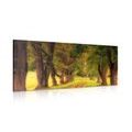 CANVAS PRINT TRAIL THROUGH THE AUTUMN FOREST - PICTURES OF NATURE AND LANDSCAPE - PICTURES