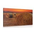 TABLEAU SUR TOILE – BALLOTS DE FOIN - TABLEAUX DE LA NATURE ET DES PAYSAGES - TABLEAUX