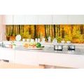 SELF ADHESIVE PHOTO WALLPAPER FOR KITCHEN FOREST IN AUTUMN COLOURS - WALLPAPERS{% if product.category.pathNames[0] != product.category.name %} - WALLPAPERS{% endif %}