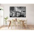 CANVAS PRINT MEDICINAL HERBS IN BLACK AND WHITE - BLACK AND WHITE PICTURES - PICTURES