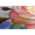 CANVAS PRINT ROSES IN SHADES OF PINK - PICTURES FLOWERS - PICTURES