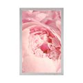 POSTER FLOWER PETALS - FLOWERS - POSTERS