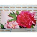CANVAS PRINT PEONIES IN PINK - PICTURES FLOWERS - PICTURES