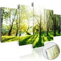 PICTURE ON ACRYLIC GLASS DEEP GREEN FOREST - PICTURES ON GLASS{% if product.category.pathNames[0] != product.category.name %} - PICTURES{% endif %}