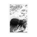 POSTER PINEAPPLE IN AN OCEAN WAVE IN BLACK AND WHITE - BLACK AND WHITE - POSTERS