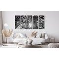 5-PIECE CANVAS PRINT BLACK AND WHITE MAJESTIC TREES - BLACK AND WHITE PICTURES - PICTURES