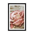 POSTER MIT PASSEPARTOUT ELEGANTE VINTAGE-ROSE - BLUMEN - POSTER