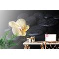 SELF ADHESIVE WALL MURAL ZEN STONES WITH A YELLOW ORCHID - SELF-ADHESIVE WALLPAPERS - WALLPAPERS