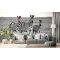 WALL MURAL THREE BLACK AND WHITE ZEBRAS IN THE SAVANNAH - BLACK AND WHITE WALLPAPERS - WALLPAPERS