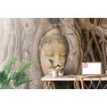 WALL MURAL BUDDHA'S SACRED FIG TREE - WALLPAPERS FENG SHUI - WALLPAPERS