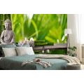 WALL MURAL HARMONIOUS BUDDHA - WALLPAPERS FENG SHUI - WALLPAPERS