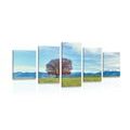 5-PIECE CANVAS PRINT MOUNTAIN PANORAMA - PICTURES OF NATURE AND LANDSCAPE - PICTURES