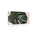 CANVAS PRINT MONSTERA LEAF - STILL LIFE PICTURES{% if product.category.pathNames[0] != product.category.name %} - PICTURES{% endif %}